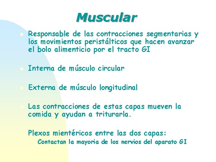 Muscular n Responsable de las contracciones segmentarias y los movimientos peristálticos que hacen avanzar