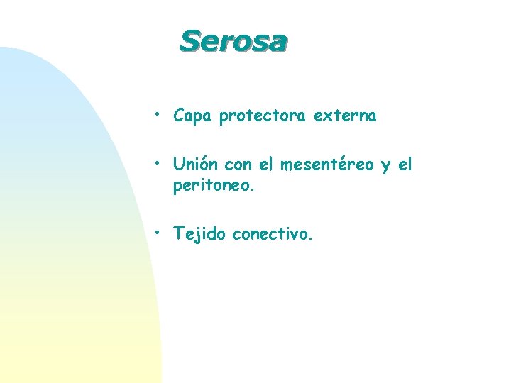 Serosa • Capa protectora externa • Unión con el mesentéreo y el peritoneo. •