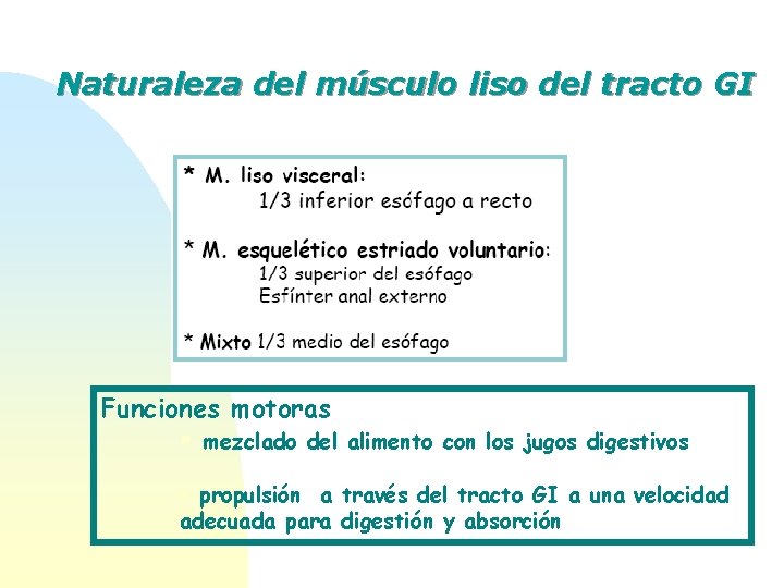 Naturaleza del músculo liso del tracto GI Funciones motoras § mezclado del alimento con