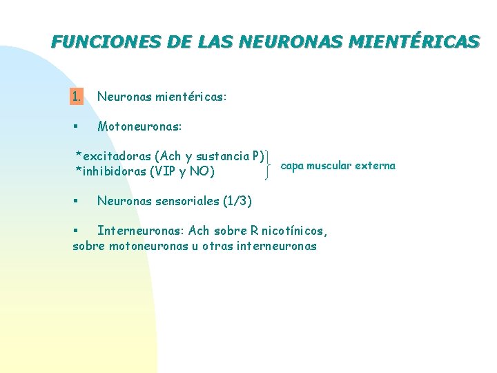 FUNCIONES DE LAS NEURONAS MIENTÉRICAS 1. Neuronas mientéricas: § Motoneuronas: *excitadoras (Ach y sustancia