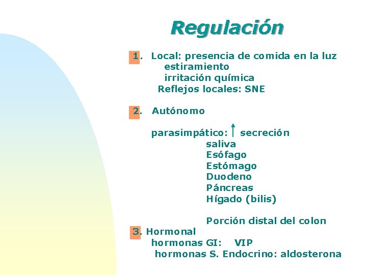 Regulación 1. Local: presencia de comida en la luz estiramiento irritación química Reflejos locales: