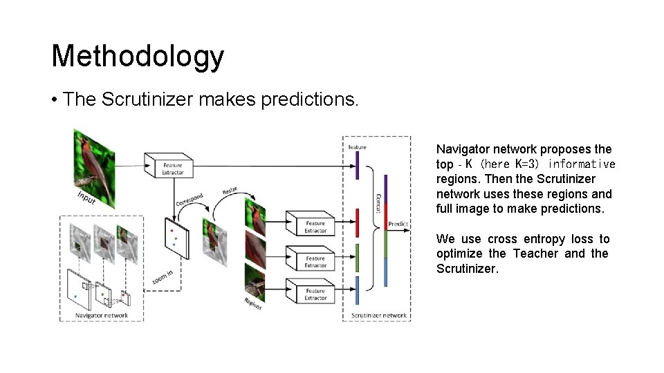 Methodology • The Scrutinizer makes predictions. Navigator network proposes the top‐K (here K=3) informative Methodology • The Scrutinizer makes predictions. Navigator network proposes the top‐K (here K=3) informative