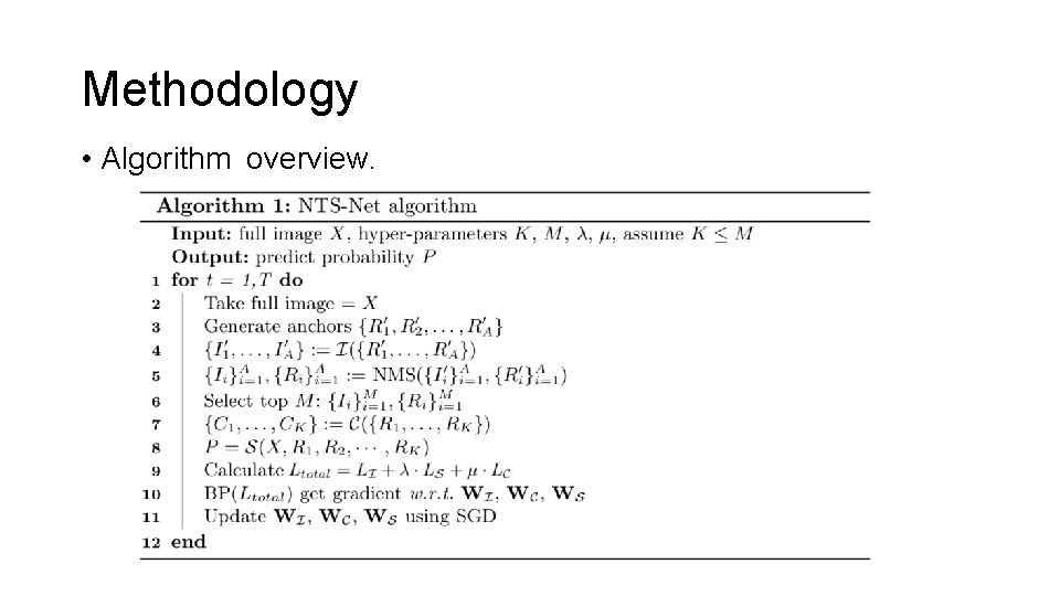 Methodology • Algorithm overview. Methodology • Algorithm overview.
