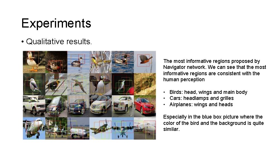 Experiments • Qualitative results. The most informative regions proposed by Navigator network. We can Experiments • Qualitative results. The most informative regions proposed by Navigator network. We can