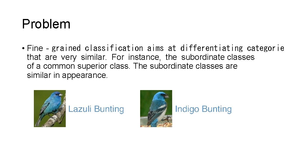 Problem • Fine‐grained classification aims at differentiating categories that are very similar. For instance, Problem • Fine‐grained classification aims at differentiating categories that are very similar. For instance,