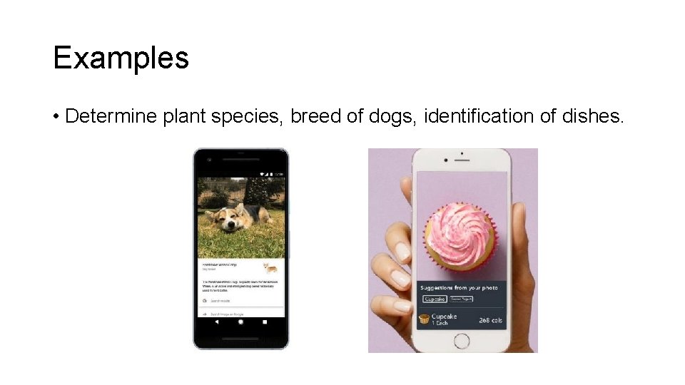 Examples • Determine plant species, breed of dogs, identification of dishes. Examples • Determine plant species, breed of dogs, identification of dishes.