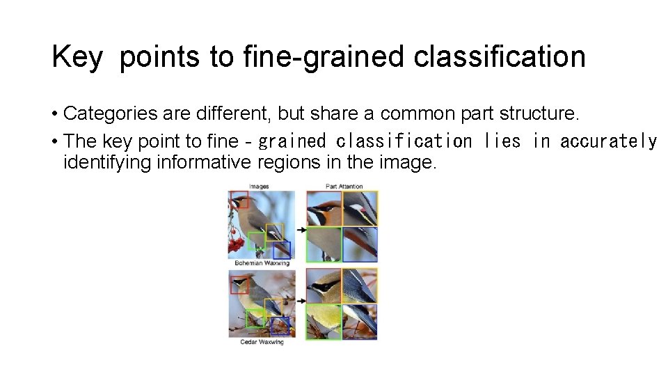 Key points to fine-grained classification • Categories are different, but share a common part Key points to fine-grained classification • Categories are different, but share a common part