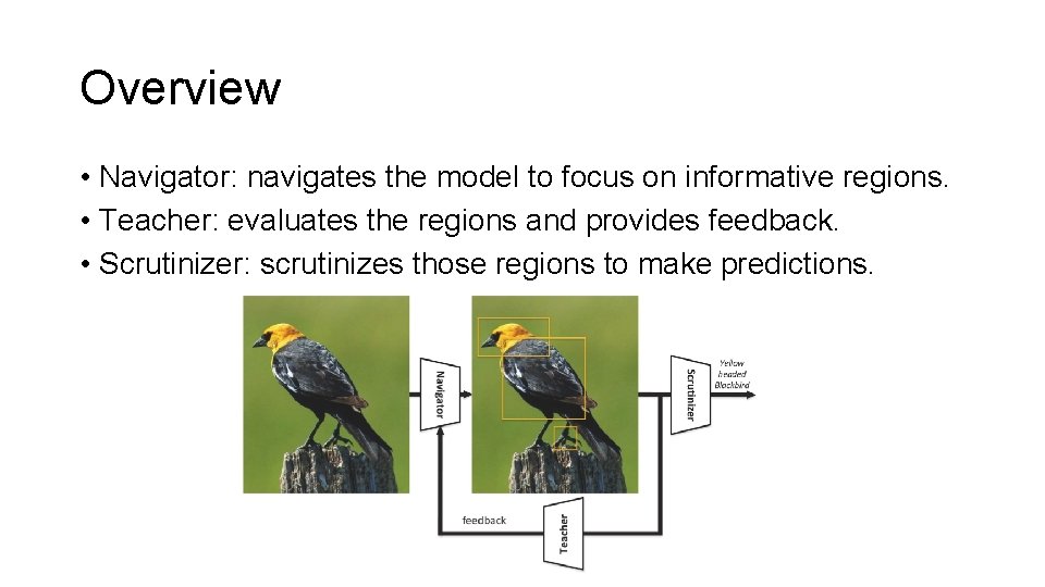 Overview • Navigator: navigates the model to focus on informative regions. • Teacher: evaluates Overview • Navigator: navigates the model to focus on informative regions. • Teacher: evaluates