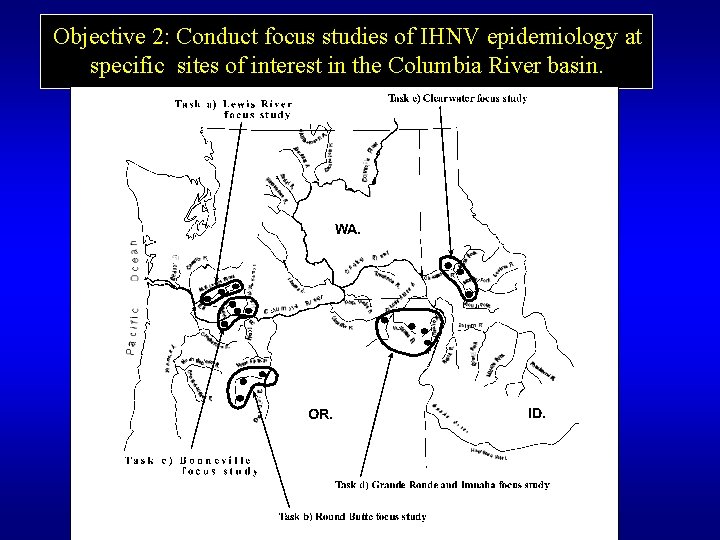 Objective 2: Conduct focus studies of IHNV epidemiology at specific sites of interest in