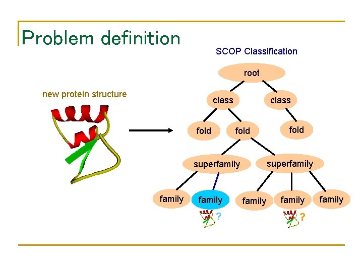 Problem definition SCOP Classification root new protein structure class fold superfamily ? fold family