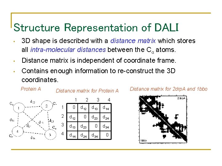 Structure Representation of DALI • 3 D shape is described with a distance matrix