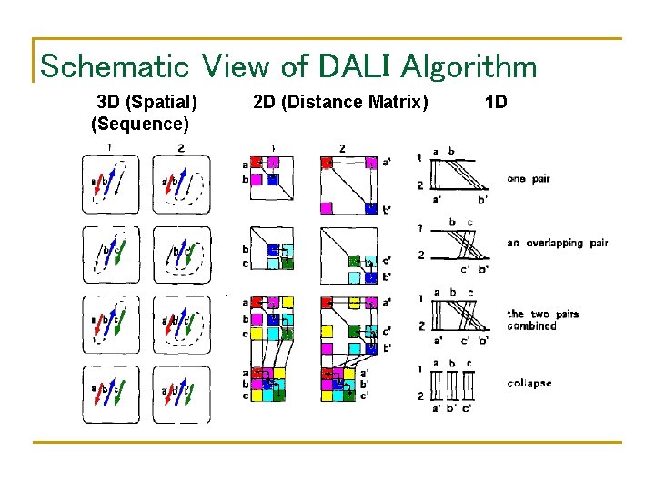 Schematic View of DALI Algorithm 3 D (Spatial) (Sequence) 2 D (Distance Matrix) 1