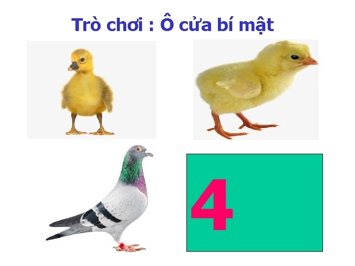 Trò chơi : Ô cửa bí mật 4 