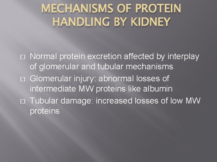 MECHANISMS OF PROTEIN HANDLING BY KIDNEY � � � Normal protein excretion affected by