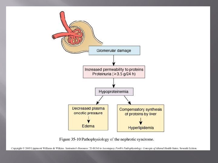 How many pathological types causes nephrotic syndrome? 