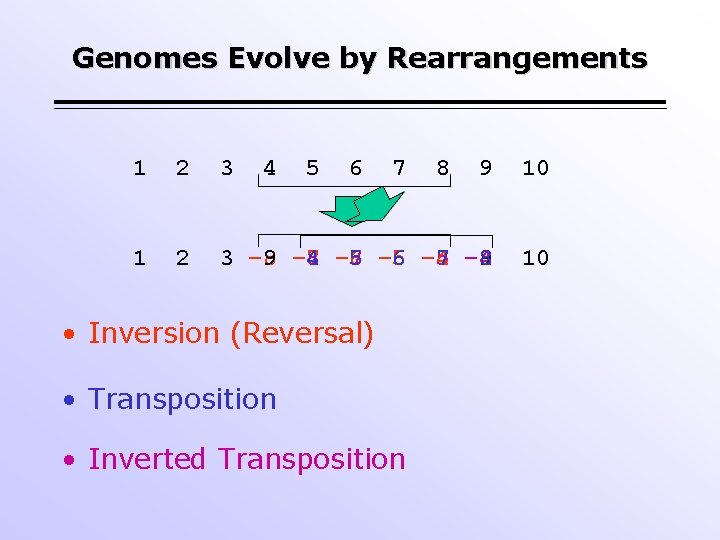 Genomes Evolve by Rearrangements 1 2 3 4 5 6 7 9 10 1