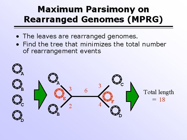 Maximum Parsimony on Rearranged Genomes (MPRG) • The leaves are rearranged genomes. • Find