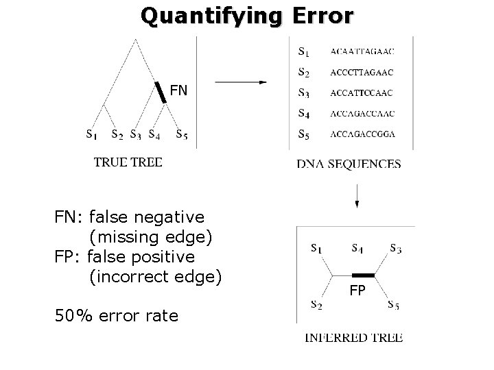 Quantifying Error FN FN: false negative (missing edge) FP: false positive (incorrect edge) 50%