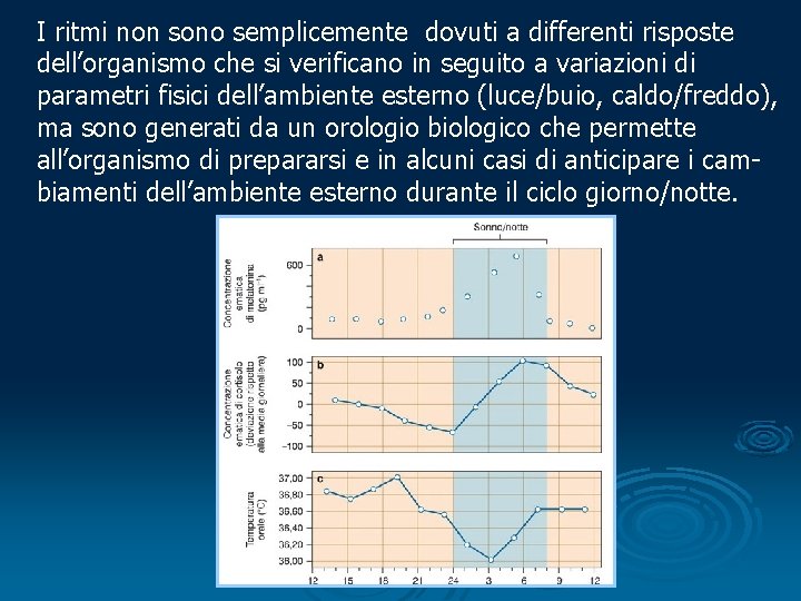 I ritmi non sono semplicemente dovuti a differenti risposte dell’organismo che si verificano in