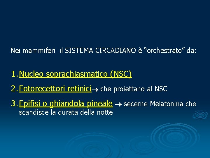 Nei mammiferi il SISTEMA CIRCADIANO è “orchestrato” da: 1. Nucleo soprachiasmatico (NSC) 2. Fotorecettori