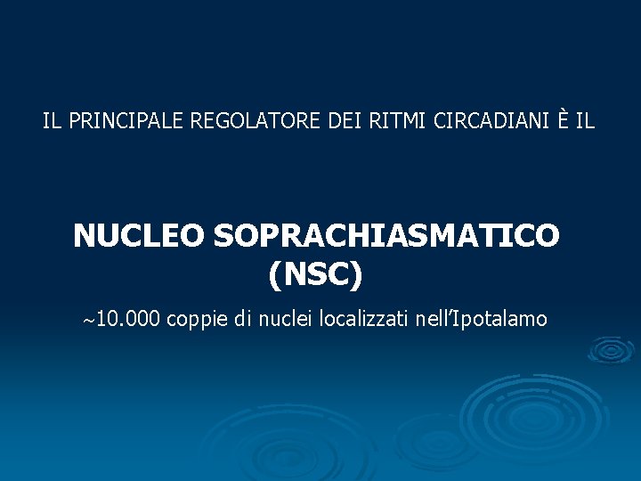 IL PRINCIPALE REGOLATORE DEI RITMI CIRCADIANI È IL NUCLEO SOPRACHIASMATICO (NSC) 10. 000 coppie