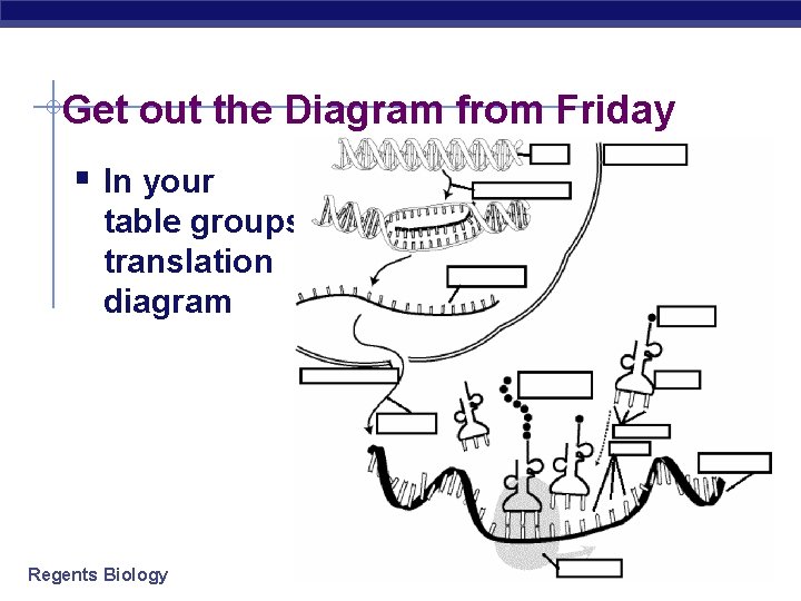 Get out the Diagram from Friday § In your table groups complete the transcription