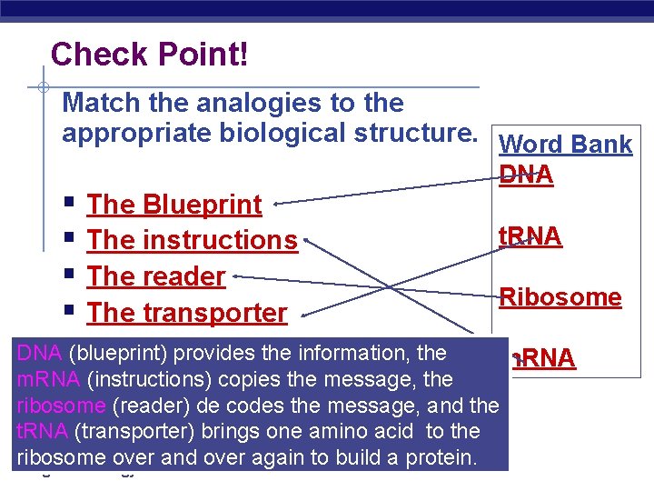 Check Point! Match the analogies to the appropriate biological structure. Word Bank § The