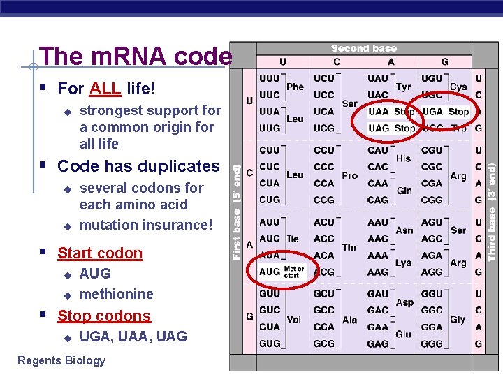 The m. RNA code § For ALL life! u strongest support for a common