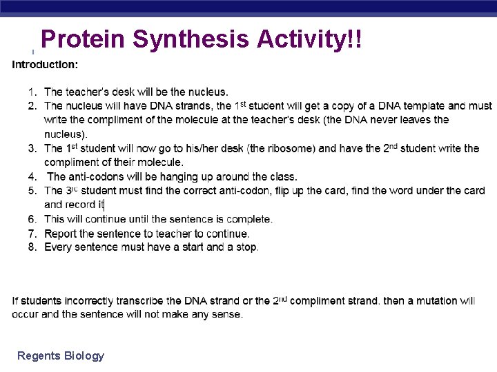 Protein Synthesis Activity!! Regents Biology 