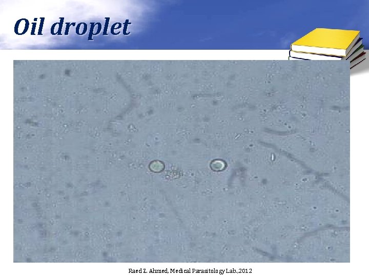 Oil droplet Raed Z. Ahmed, Medical Parasitology Lab. , 2012 