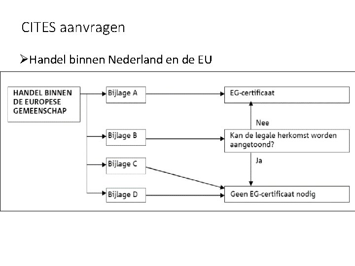 CITES aanvragen ØHandel binnen Nederland en de EU Welk document heb je voor de