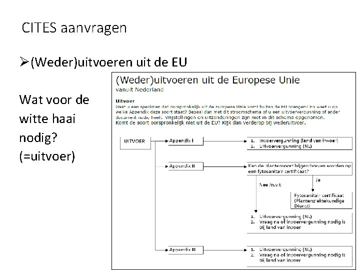 CITES aanvragen Ø(Weder)uitvoeren uit de EU Wat voor de witte haai nodig? (=uitvoer) 