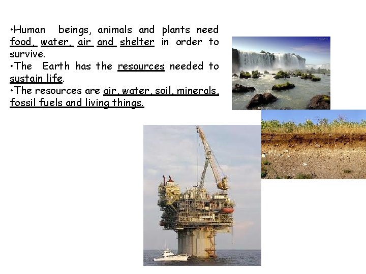 • Human beings, animals and plants need food, water, air and shelter in • Human beings, animals and plants need food, water, air and shelter in