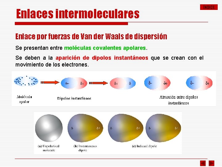 Enlaces intermoleculares ÍNDICE Enlace por fuerzas de Van der Waals de dispersión Se presentan