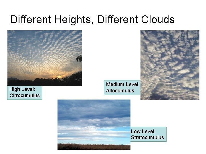 Different Heights, Different Clouds High Level: Cirrocumulus Medium Level: Altocumulus Low Level: Stratocumulus 