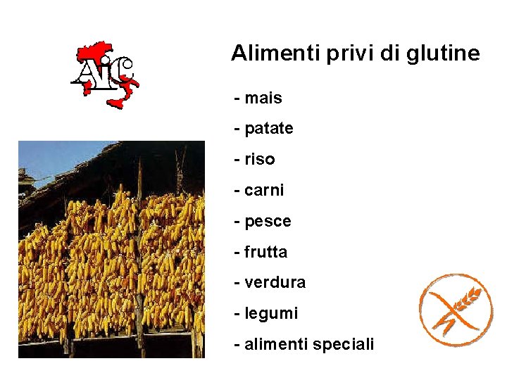 Alimenti privi di glutine - mais - patate - riso - carni - pesce