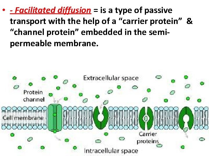  • - Facilitated diffusion = is a type of passive transport with the