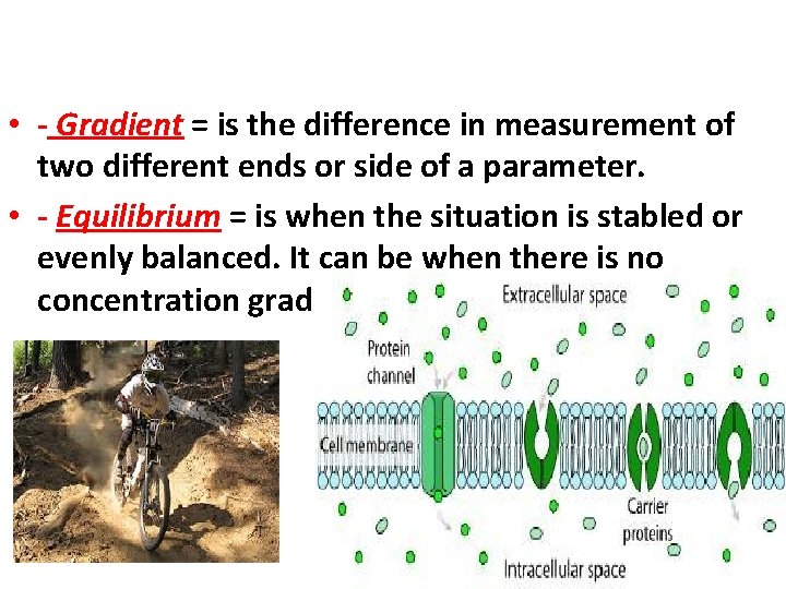  • - Gradient = is the difference in measurement of two different ends
