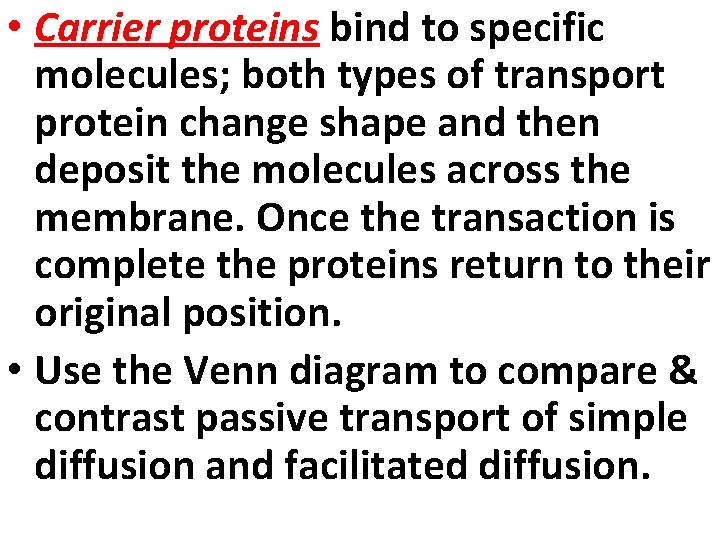  • Carrier proteins bind to specific molecules; both types of transport protein change