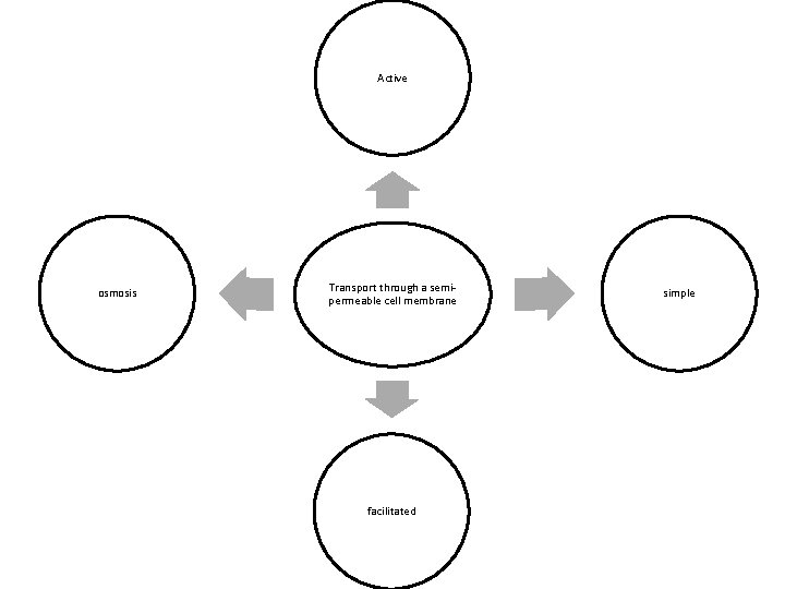 Active osmosis Transport through a semipermeable cell membrane facilitated simple 