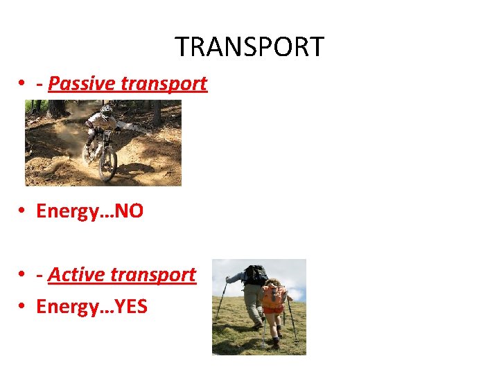 TRANSPORT • - Passive transport • Energy…NO • - Active transport • Energy…YES 
