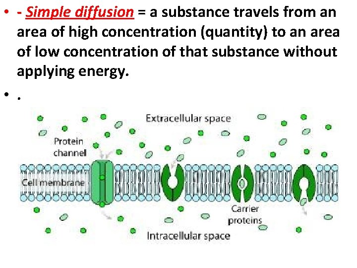  • - Simple diffusion = a substance travels from an area of high