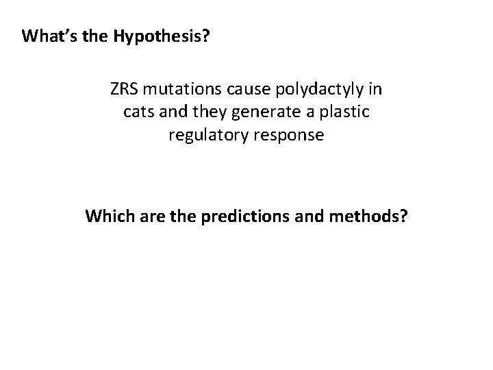 What’s the Hypothesis? ZRS mutations cause polydactyly in cats and they generate a plastic