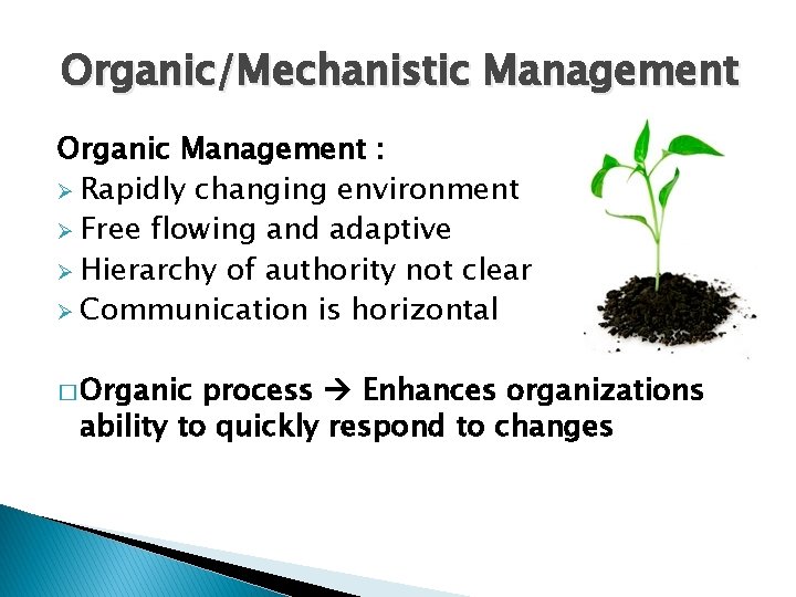 Organic/Mechanistic Management Organic Management : Ø Rapidly changing environment Ø Free flowing and adaptive
