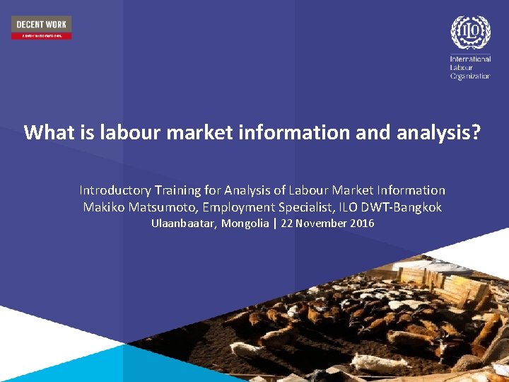 What is labour market information and analysis? Introductory Training for Analysis of Labour Market