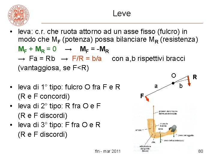 Leve • leva: c. r. che ruota attorno ad un asse fisso (fulcro) in