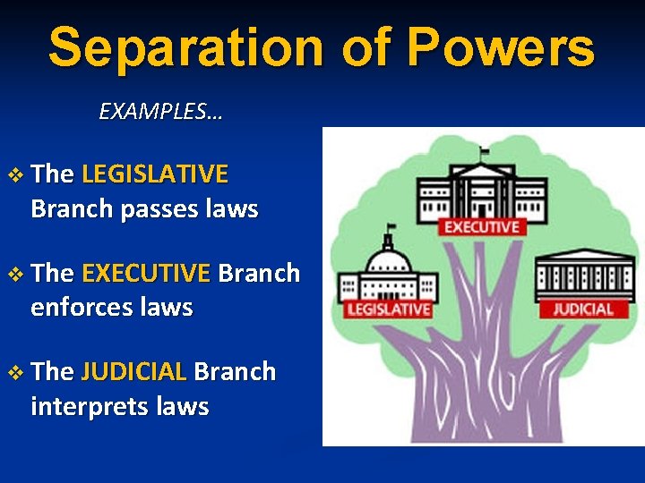 Separation of Powers EXAMPLES… v The LEGISLATIVE Branch passes laws v The EXECUTIVE Branch