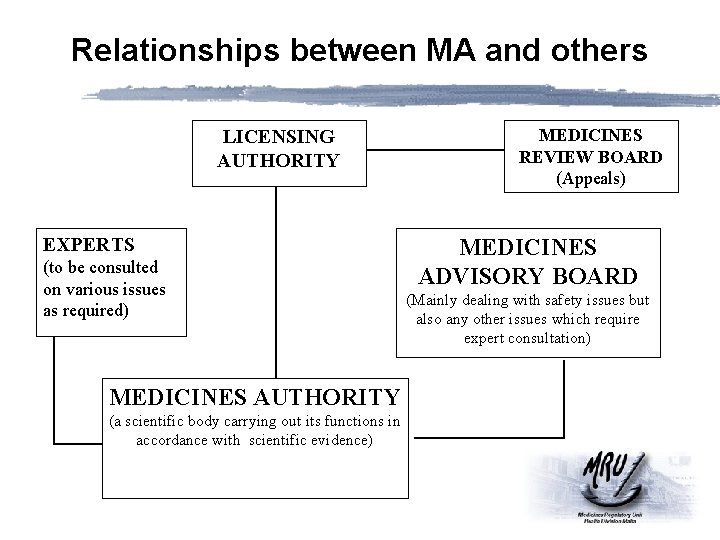 Relationships between MA and others LICENSING AUTHORITY EXPERTS (to be consulted on various issues