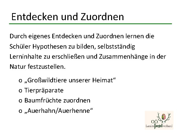 Entdecken und Zuordnen Durch eigenes Entdecken und Zuordnen lernen die Schüler Hypothesen zu bilden, Entdecken und Zuordnen Durch eigenes Entdecken und Zuordnen lernen die Schüler Hypothesen zu bilden,