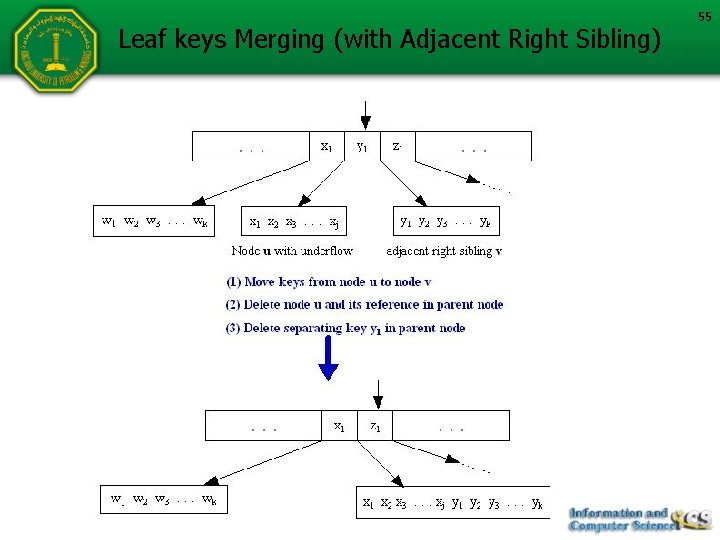 Leaf keys Merging (with Adjacent Right Sibling) 55 